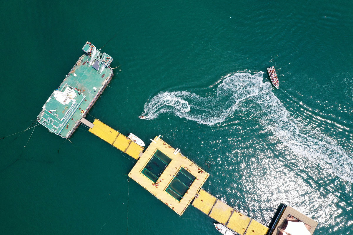威海海洋职业学院动物药学专业优势及发展前景