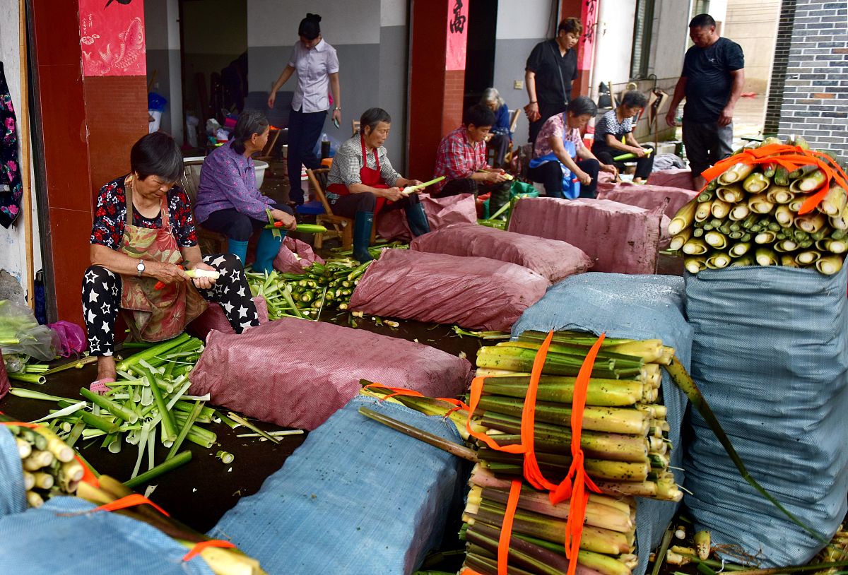 浙江衢州工商学校2022年招生简章