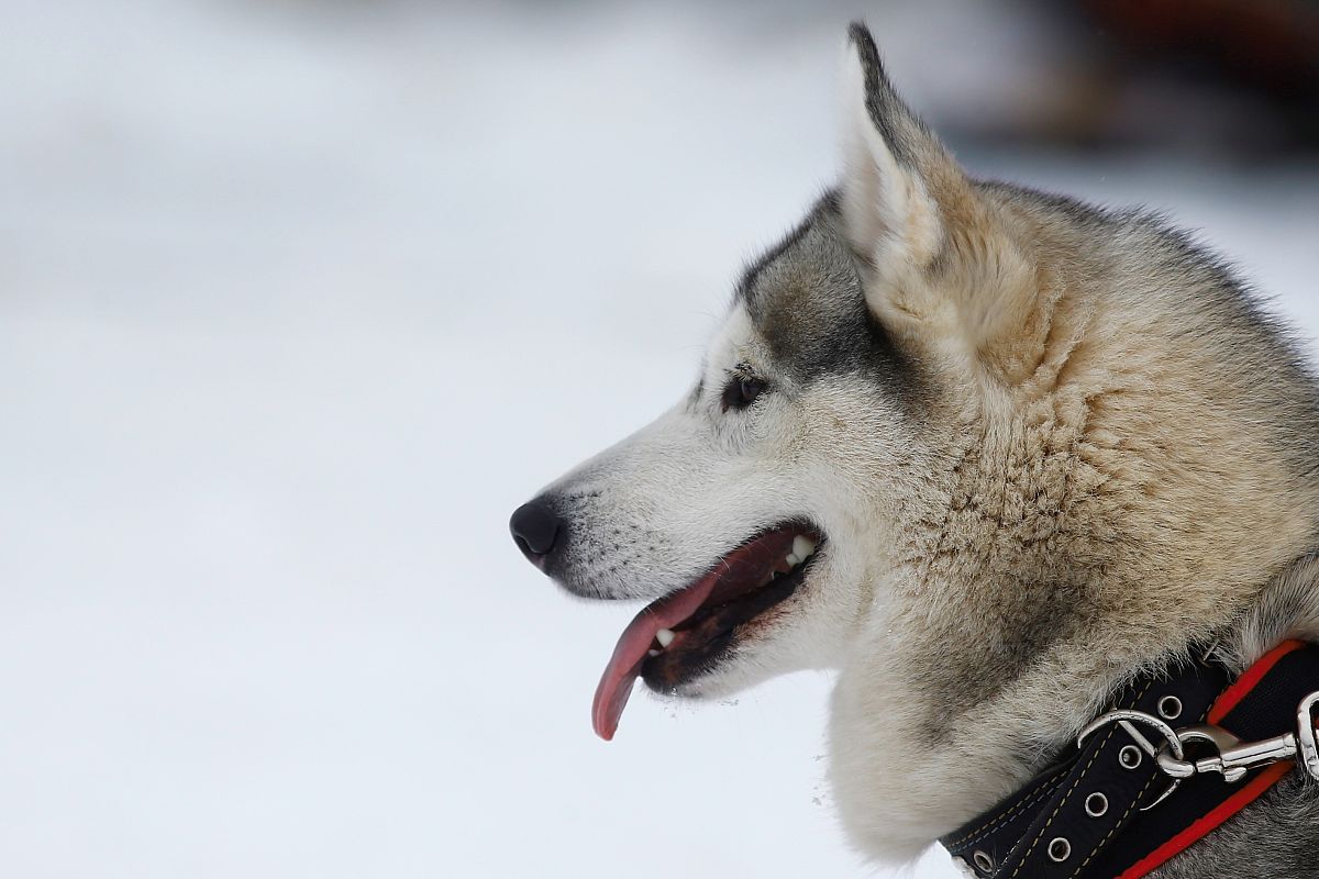 bbq情侣名回答加拓展。
