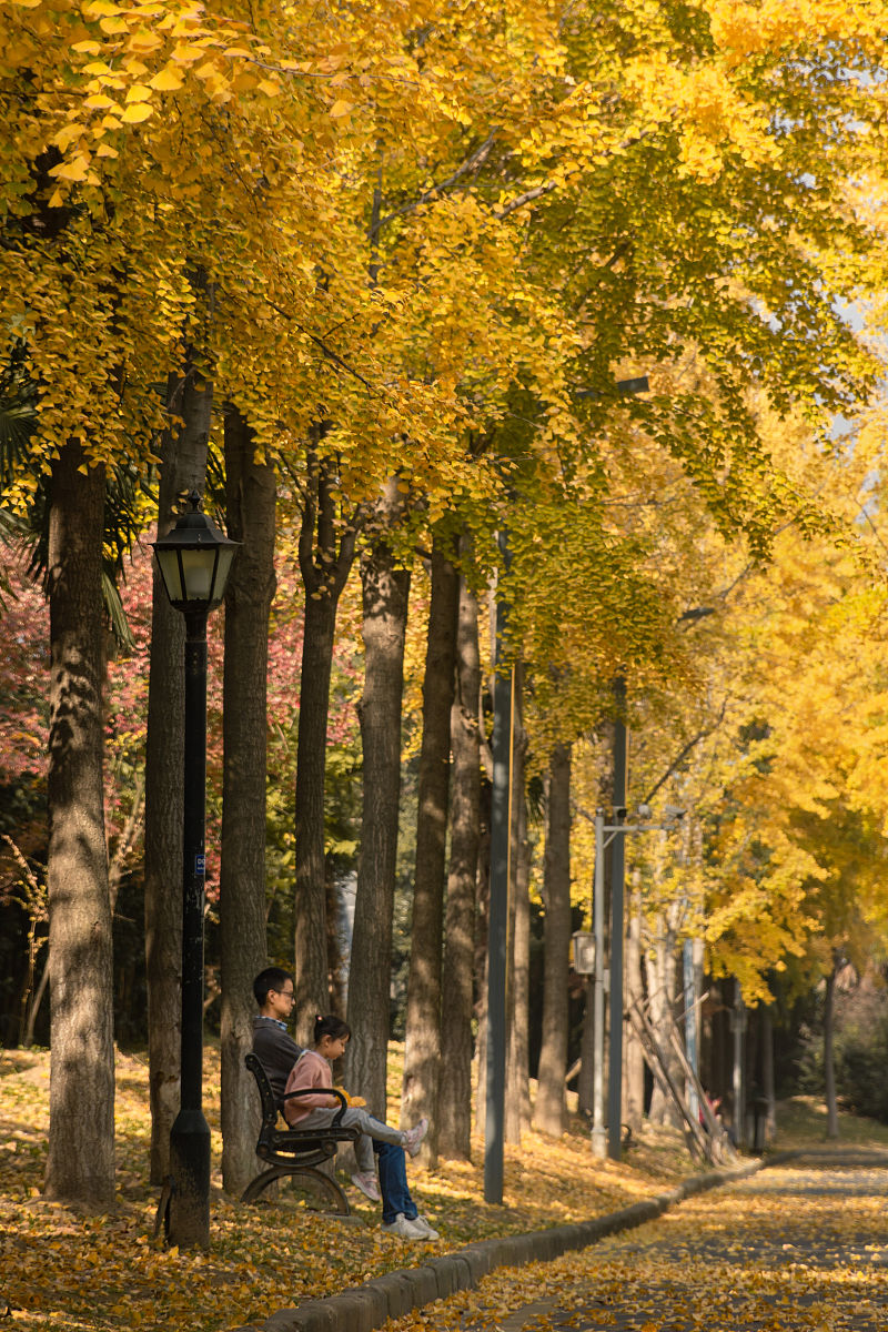 济南信息工程学校招生办电话_好不好