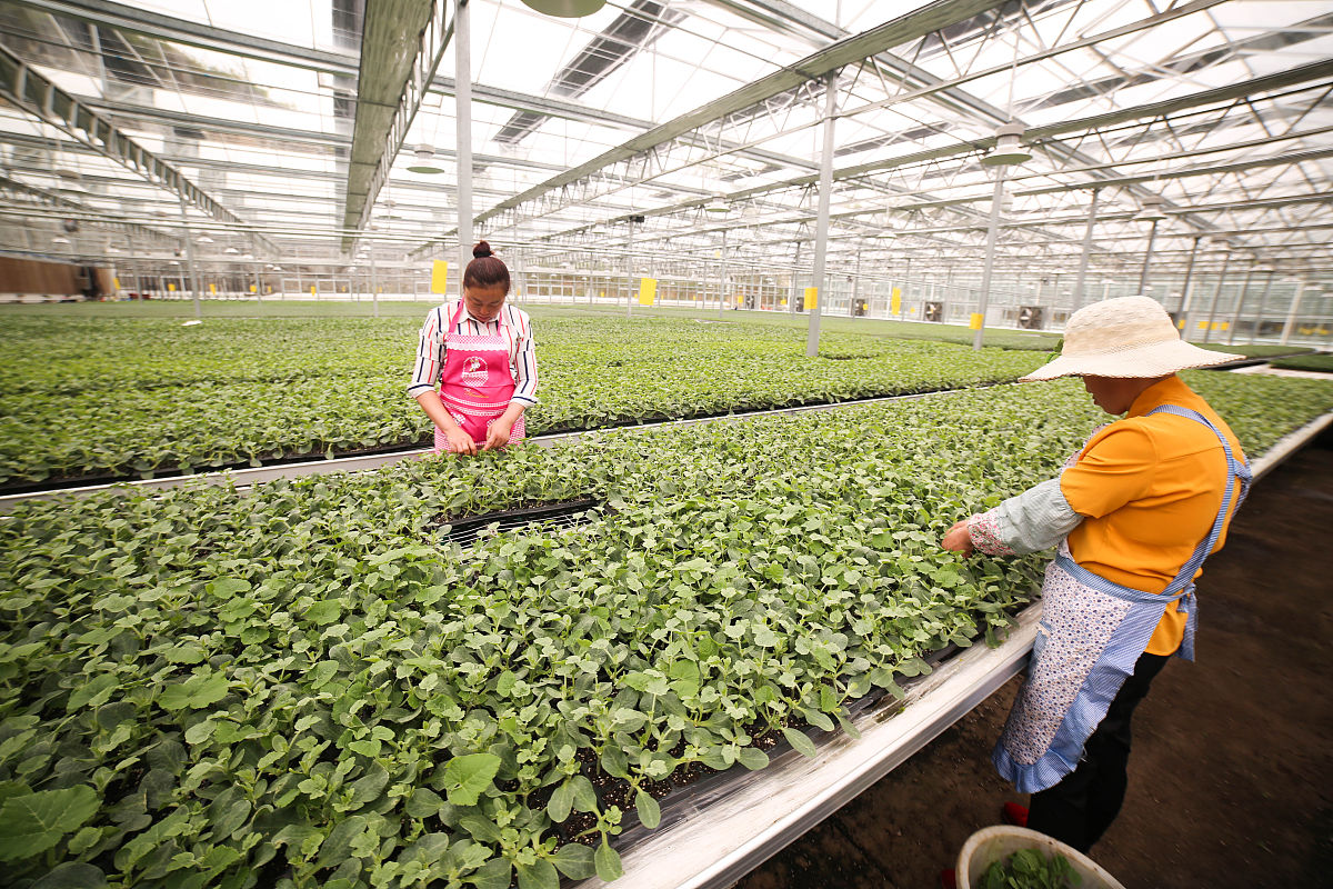 贵州药用植物栽培与加工专业学校推荐：选择指南