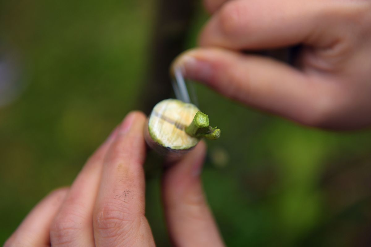 文山三鑫中等职业技术学校2022年招生条件及专业解读