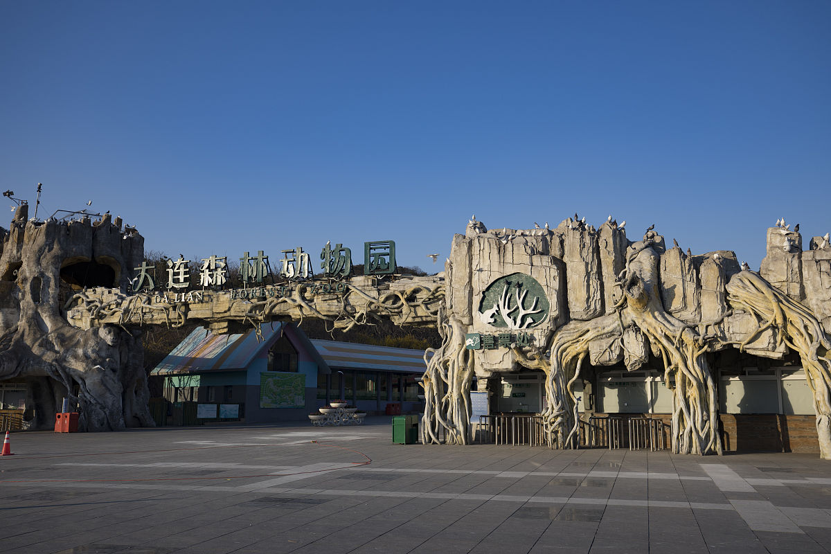 大连森林动物园门票