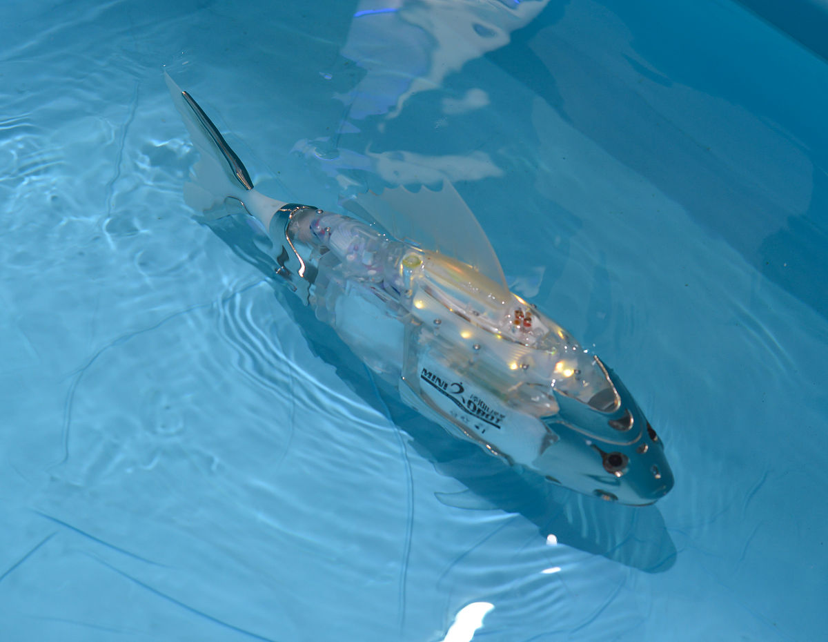 假设有一种具有智能的水生生物 他们如何获取金属并将其制作成工具？