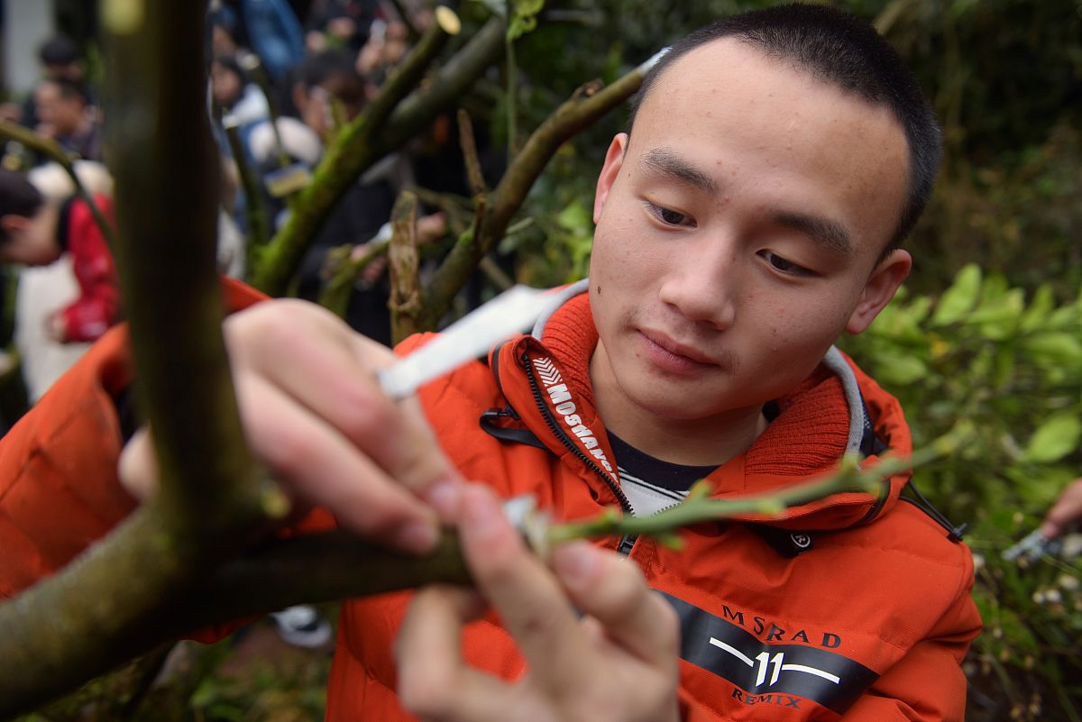 汉滨新建中等职业技术学校2019招生简章