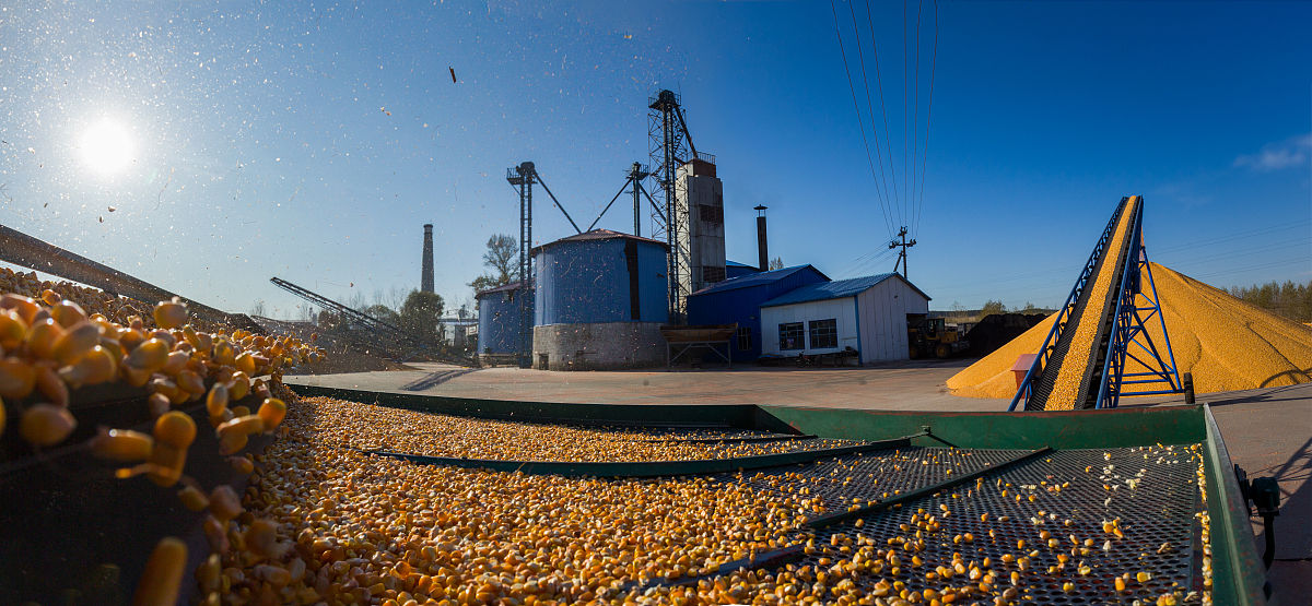 黑龙江粮食职业学院数字媒体设计与制作专业怎么样