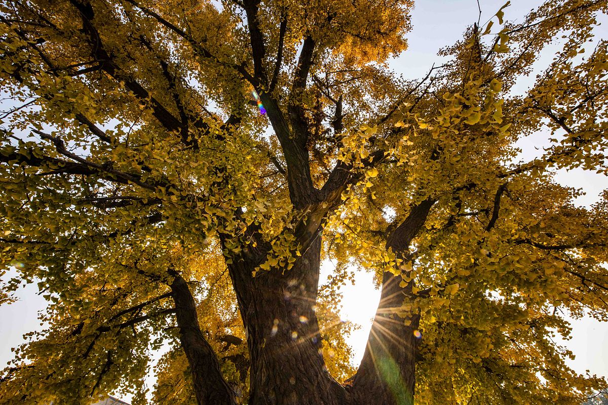 2022年云南工程职业学院会计专业怎么样？