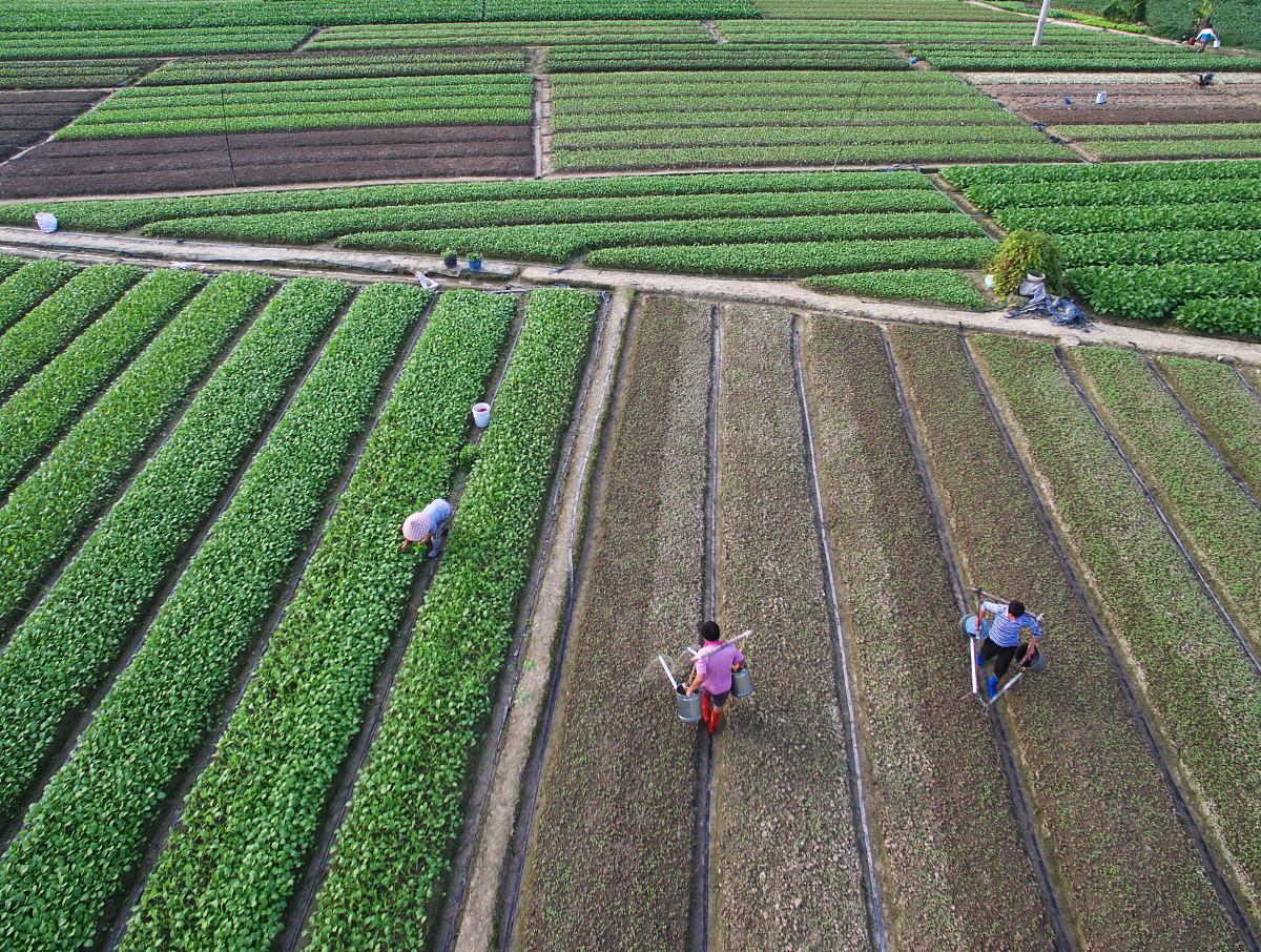 2023年报读作物生产技术专业就业前景好不好？