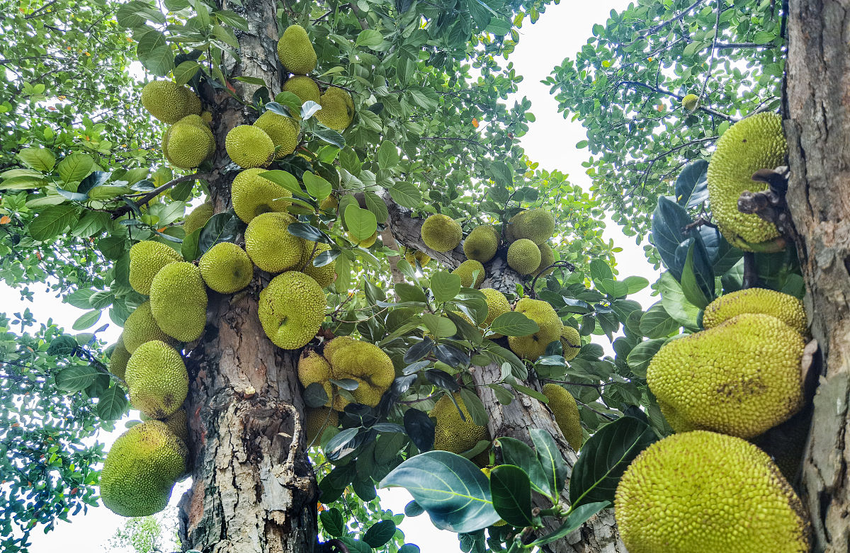 广西科技大学鹿山学院机械设计制造及其自动化专业怎么样？好学吗？