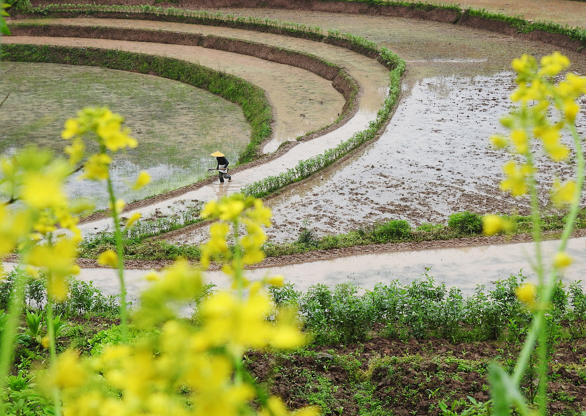 四川省渠县职业学校2020报名方式