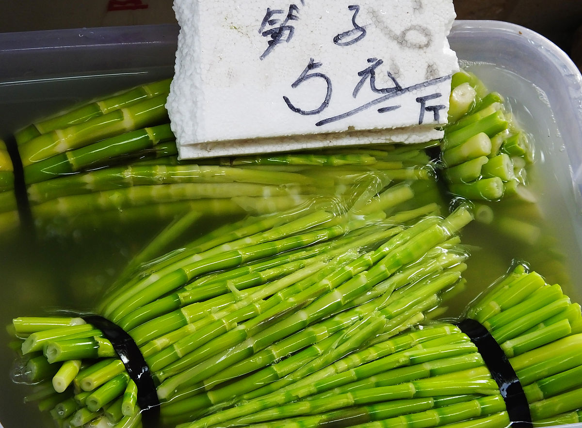 西牛麻竹笋营销策划报告：提升市场认知度，扩大销售额