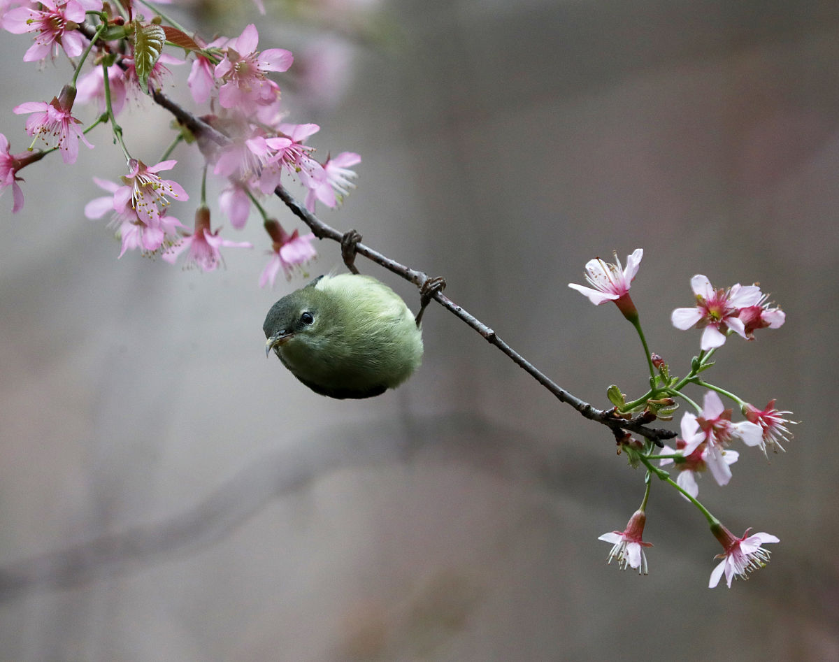 广西2022年上中专学校多少钱