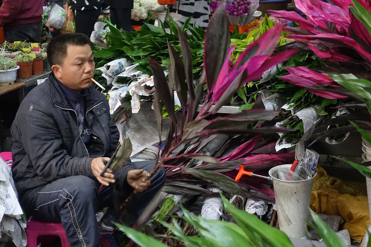 云南交通学院2019年五年制大专招生报名电话