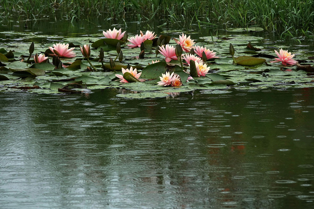 2020年贵阳白云职业技术学校招生简章 - 培养高素质职业人才