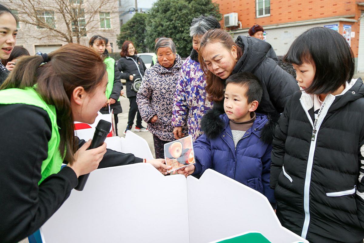 世界知识分类：自然科学、社会科学、技术科学、人文学科等