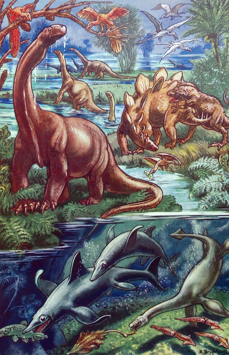 children's book illustration dated 1930: dinosaurs and marine an