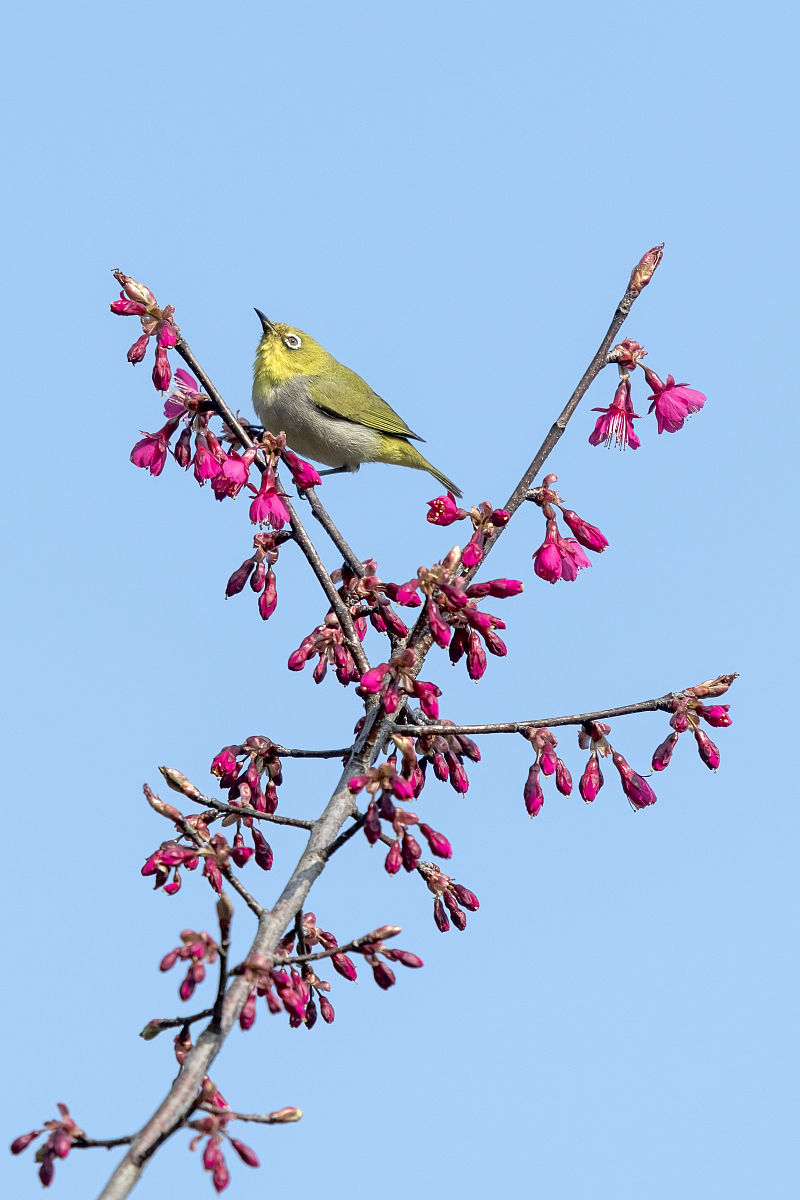 中山三乡镇理工学校2022年招生简章