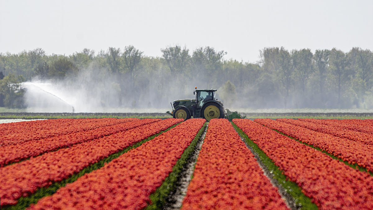 春天的美好：万物复苏，充满希望的季节