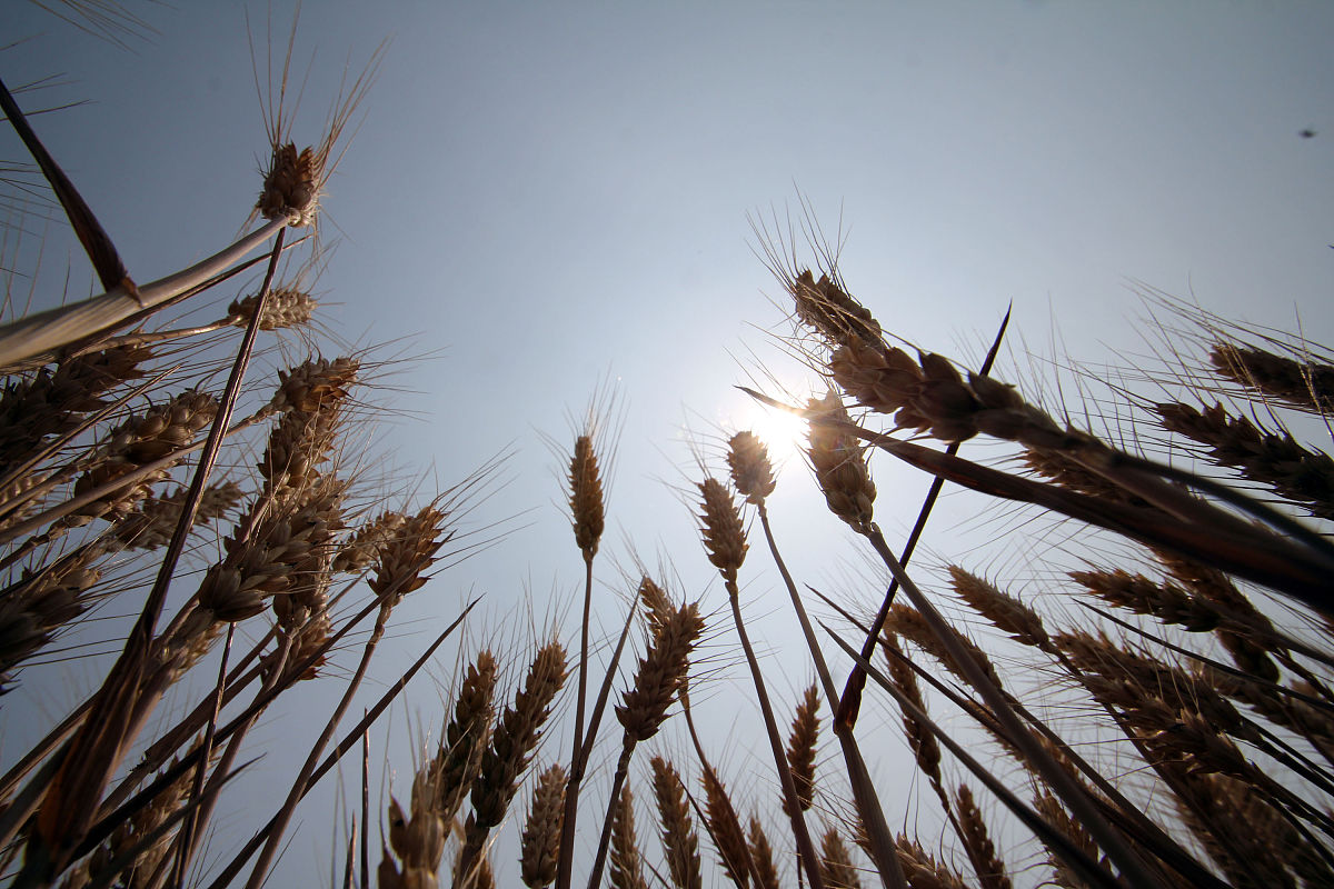 贵州省农业广播电视学校开设有哪些专业？