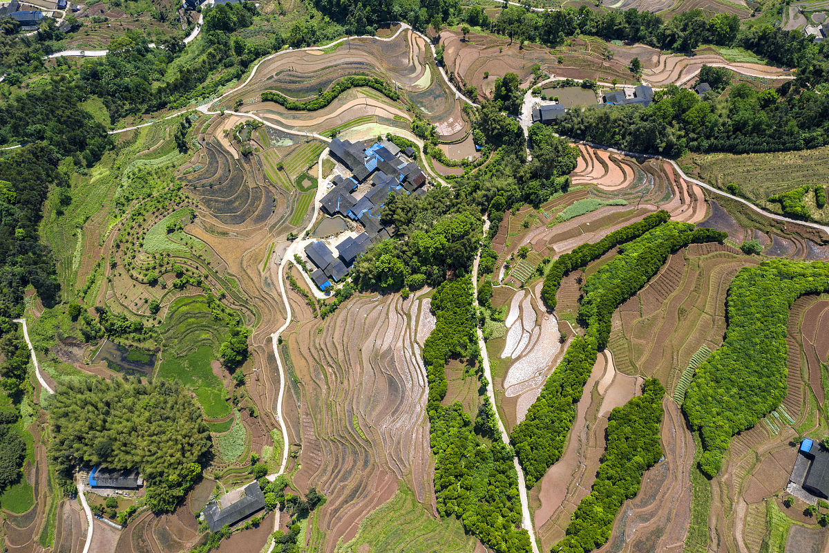 2020年4月26日,重庆,俯瞰太和梯田这曼妙的曲线成了大山的"指纹"分外
