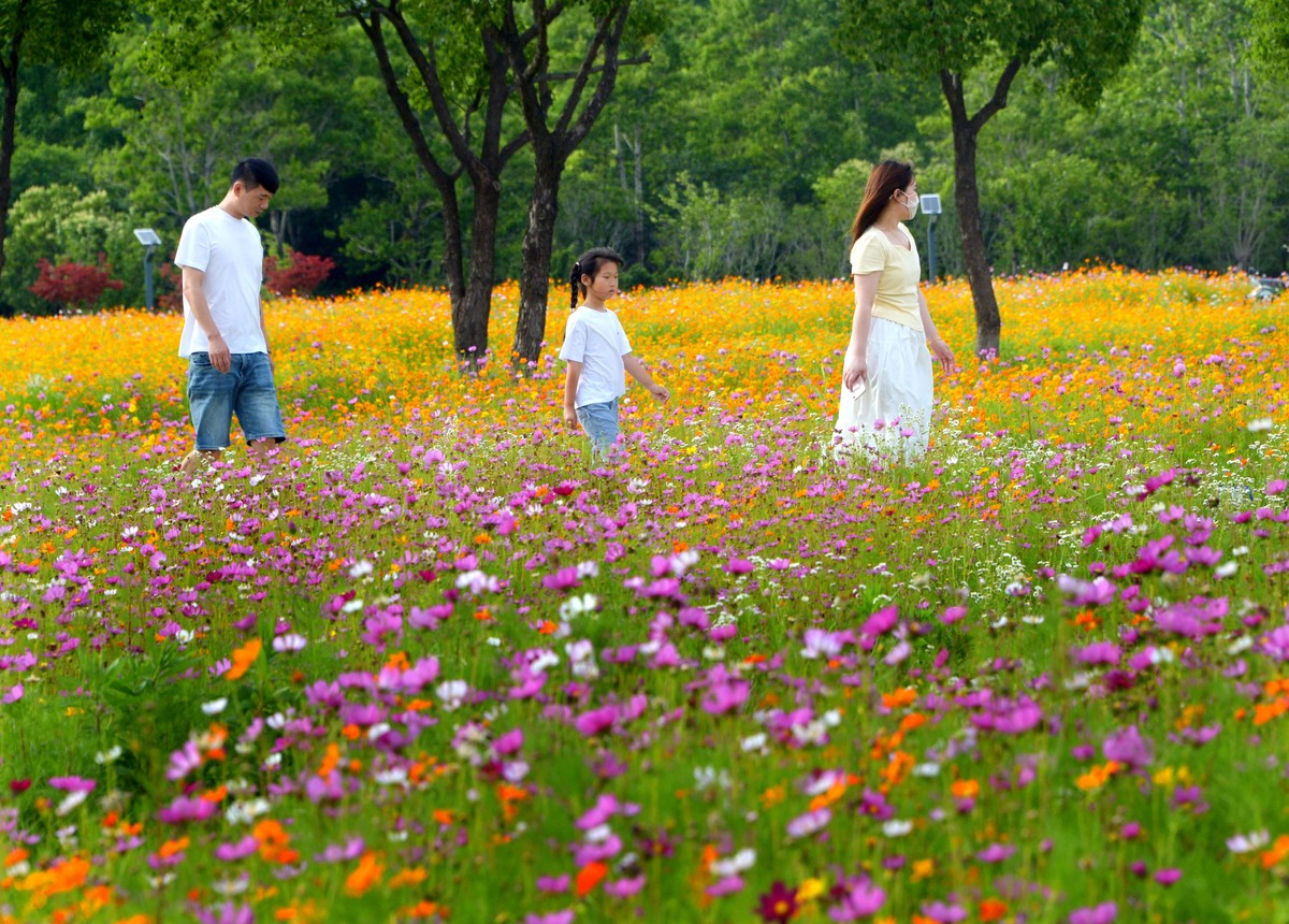 清明踏青记：琐园之行
