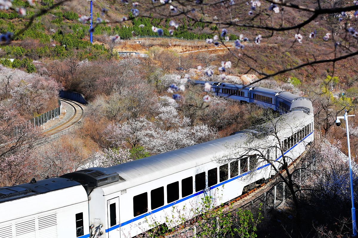 写一篇作文描写春天的