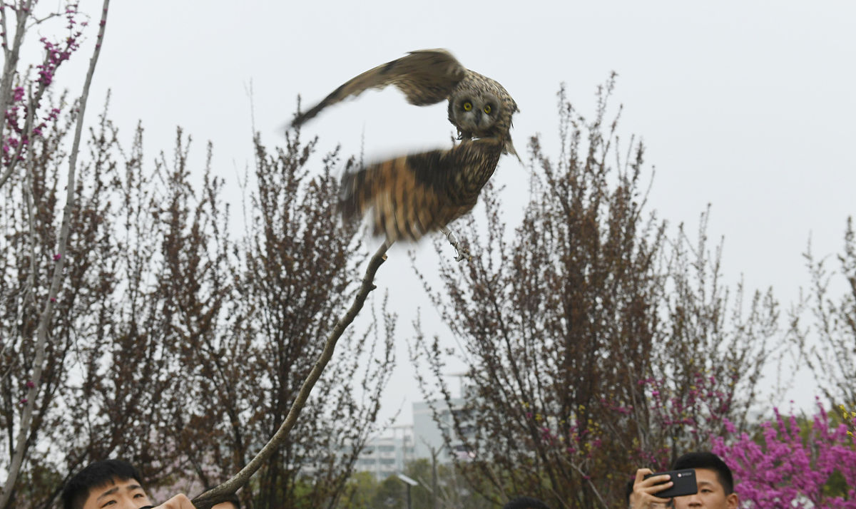 安徽生物工程学校2021年招生简章 - 生物工程专业解读
