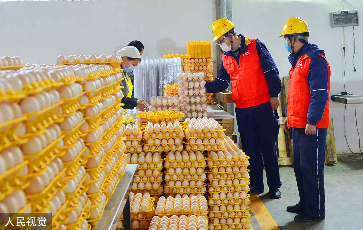 售电合同范本：电力交易协议样本