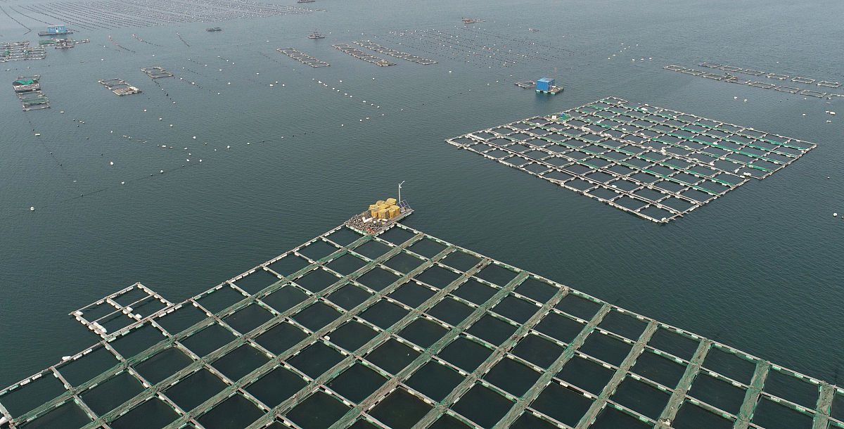 分析海洋渔船未来的发展方向及其对中国海洋渔业的深远意义。要求2000字