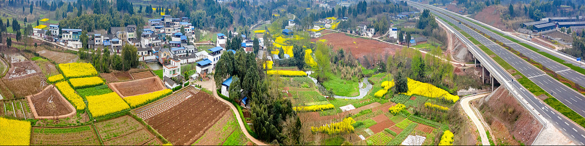 仁寿新科综合高中学校2019年学校招生专业及计划