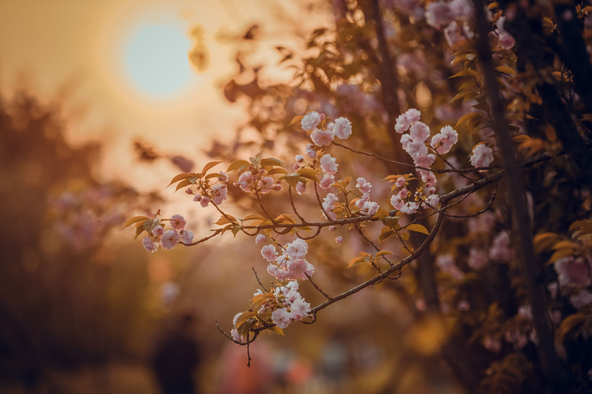 武汉外语外事职业学院药剂专业好吗？