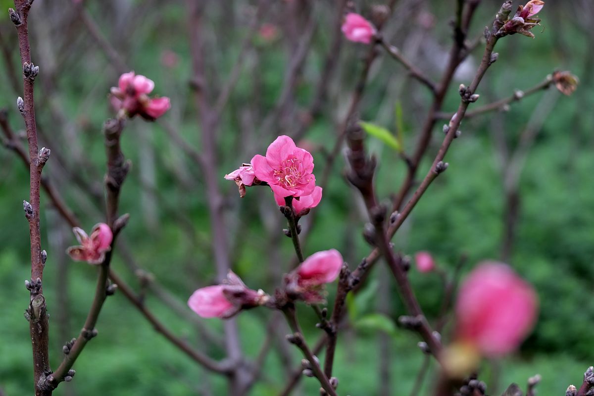 湖南汽车工程职业学院工程造价专业怎么样？好学吗？就业前景分析