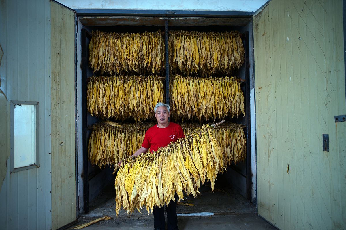 帮我优化一下这个文章：你推介 我鼓励 天子开口营销比赛草稿尊敬的各位领导们、同行们大家好！2015年提税顺价政策出台后重庆中烟在走访调研中发现普通一类卷烟增速和市场潜力远高于其他价位段但市场上200元整价位段卷烟产品相对不多、消费需求很大。综合研判后重庆中烟以满足消费需求为导向开发一款品质过硬、卖点突出的普通一类卷烟新品它是重庆中烟旗下天子品牌的当家明星天子金。天子金以重庆武陵优质生态烟叶为主要原