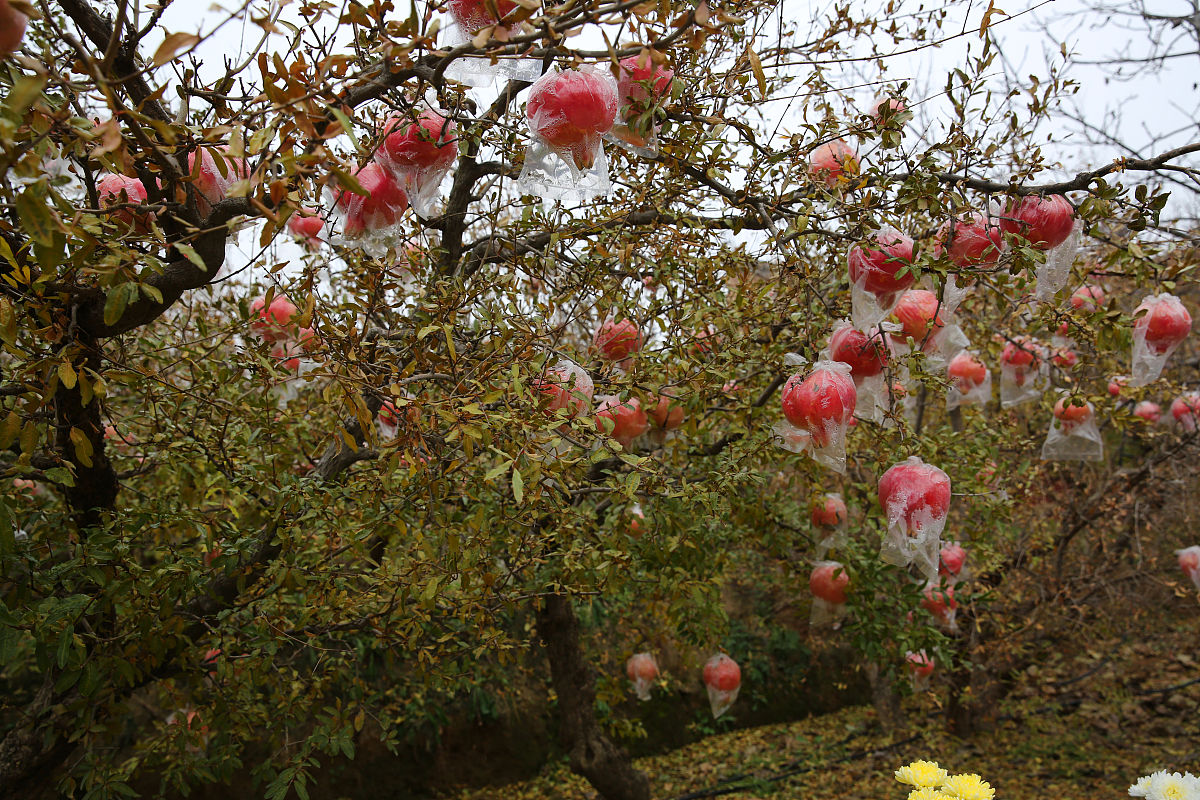 咸阳中专学校考本科好不好