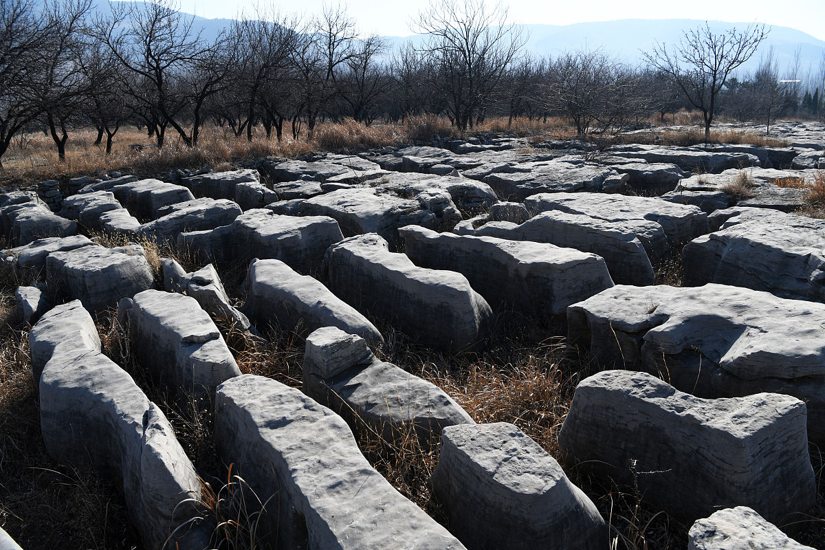 2022年费县职业中专学校招生简章：专业、报名时间及录取条件