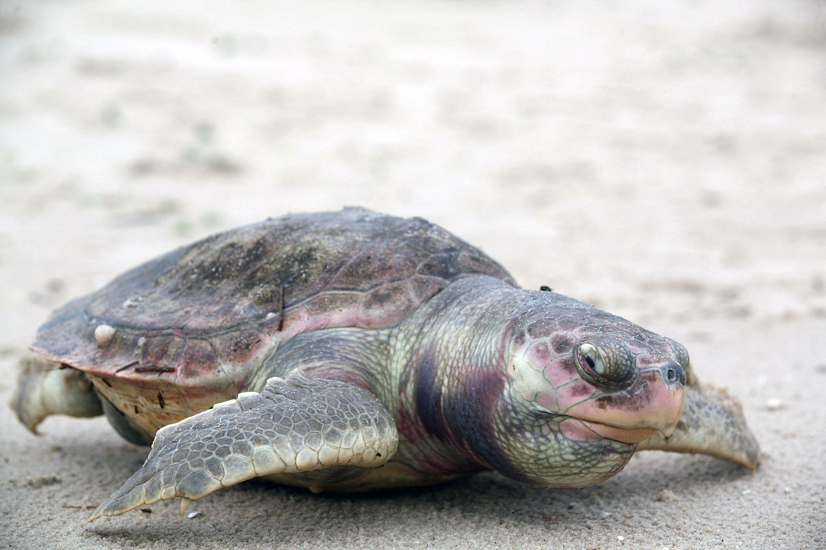 油井热洗周期确定方法1000字