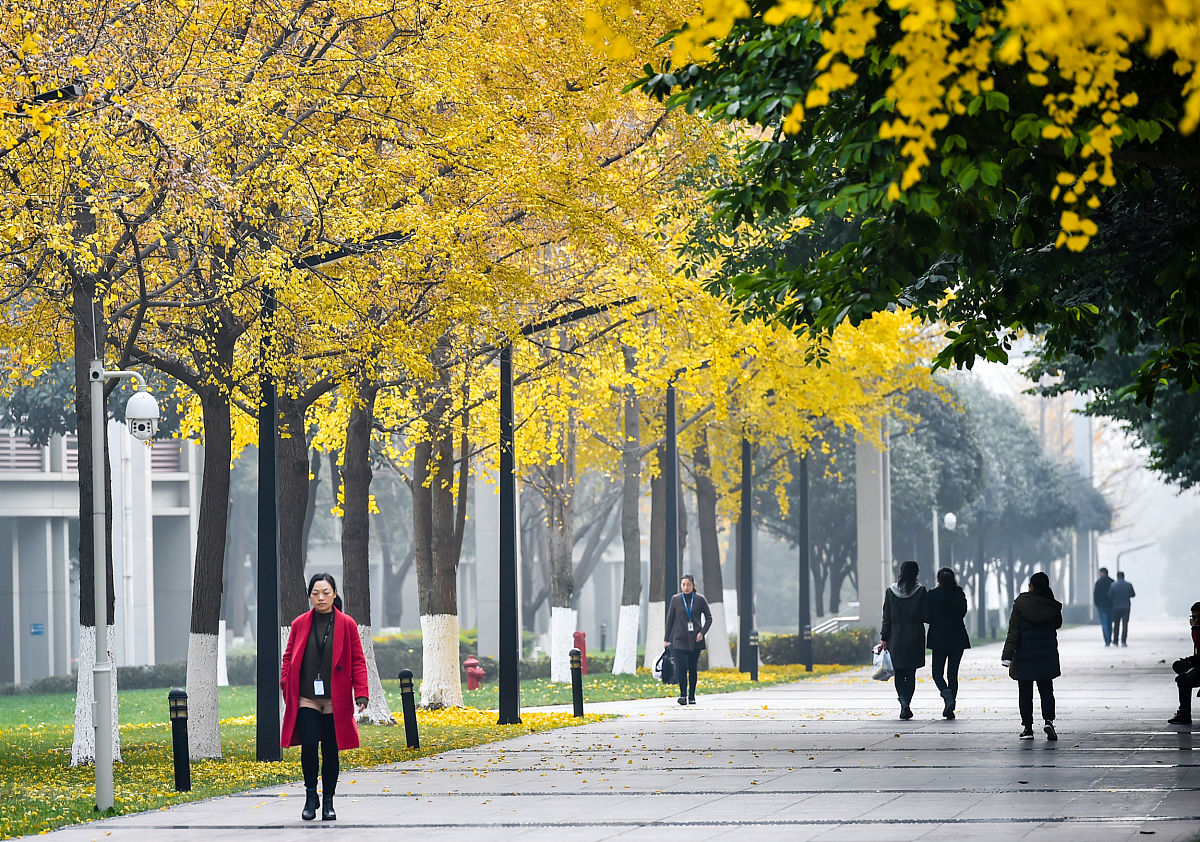 成都信息工程大学银杏酒店管理学院酒店管理(专科)专业介绍 - 2020