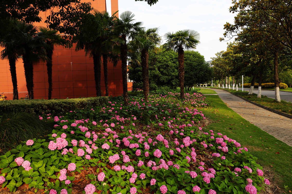 重庆园林技工学校招生专业：园林绿化、花卉、景观设计、机械