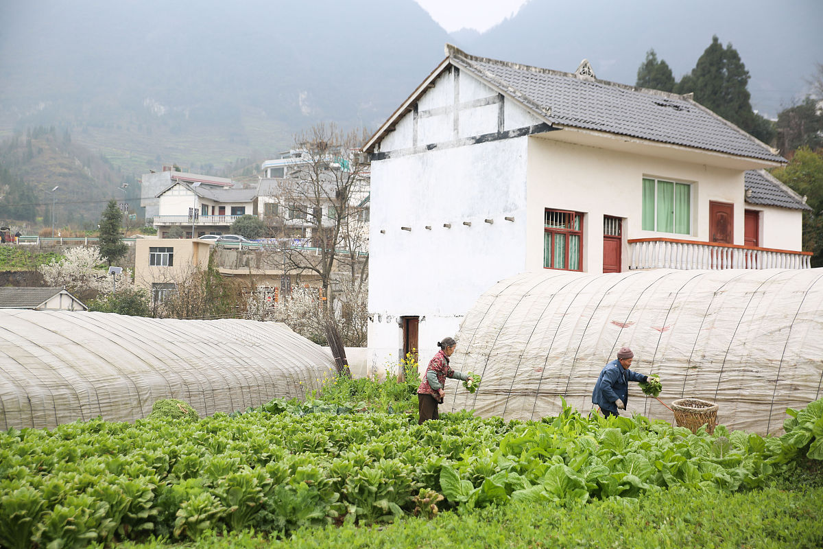 从江县职业技术学校农业机械使用与维护专业怎么样