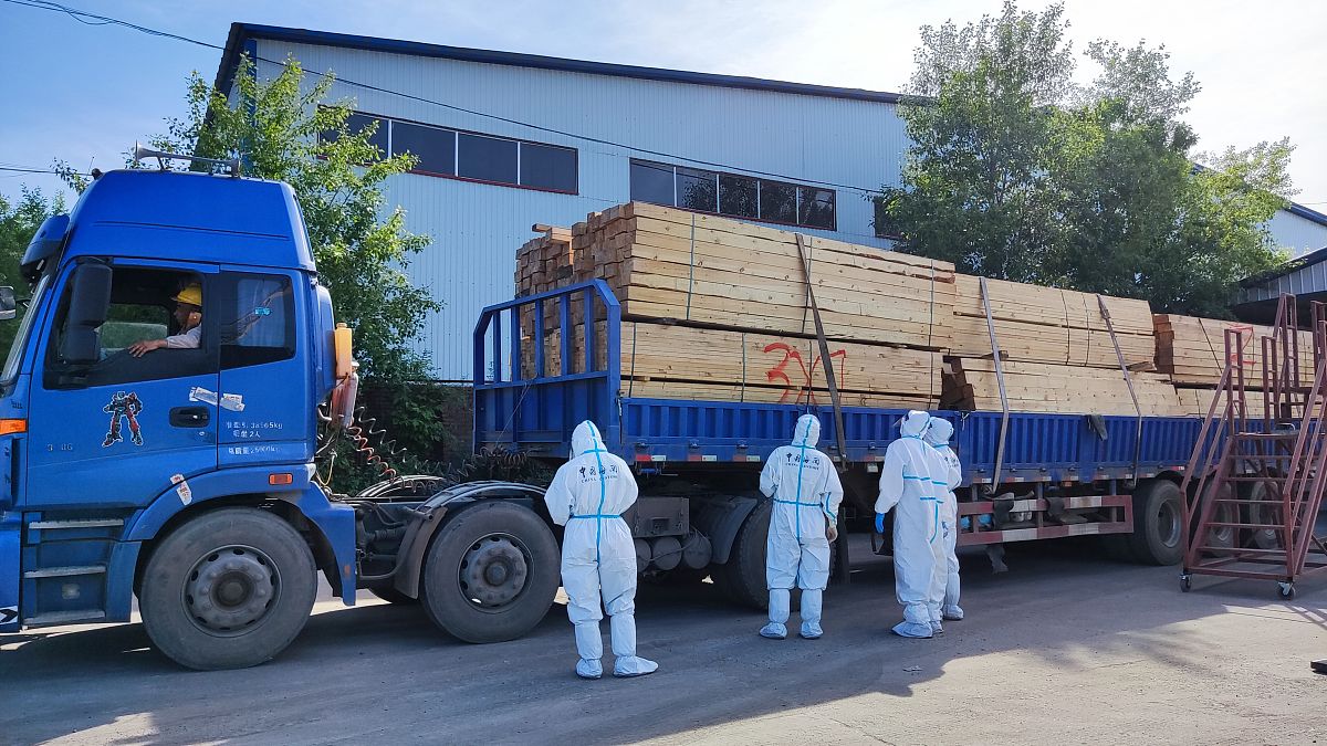 集装箱卸货后返还，现场查验内容受阻