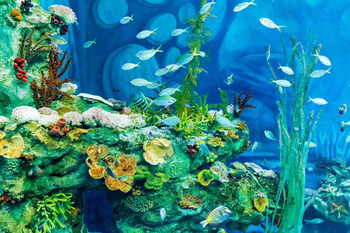 泉州海洋职业学院2022年招生简章