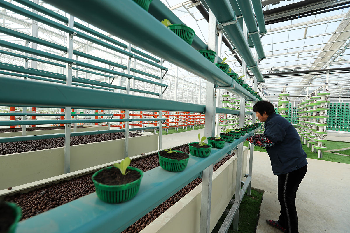 安徽科技学院电子信息工程专业怎么样？深度解析就业前景和发展方向