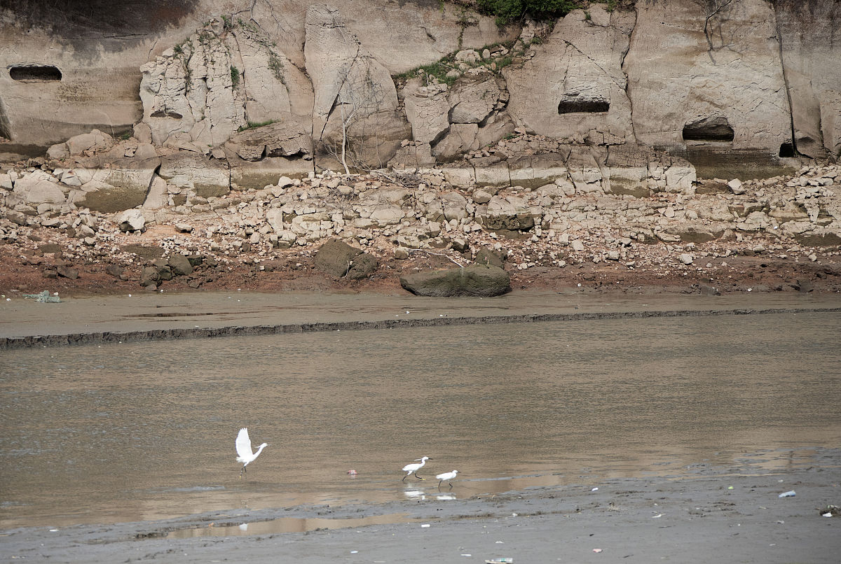 四川省仁寿县第二高级职业中学招生简章