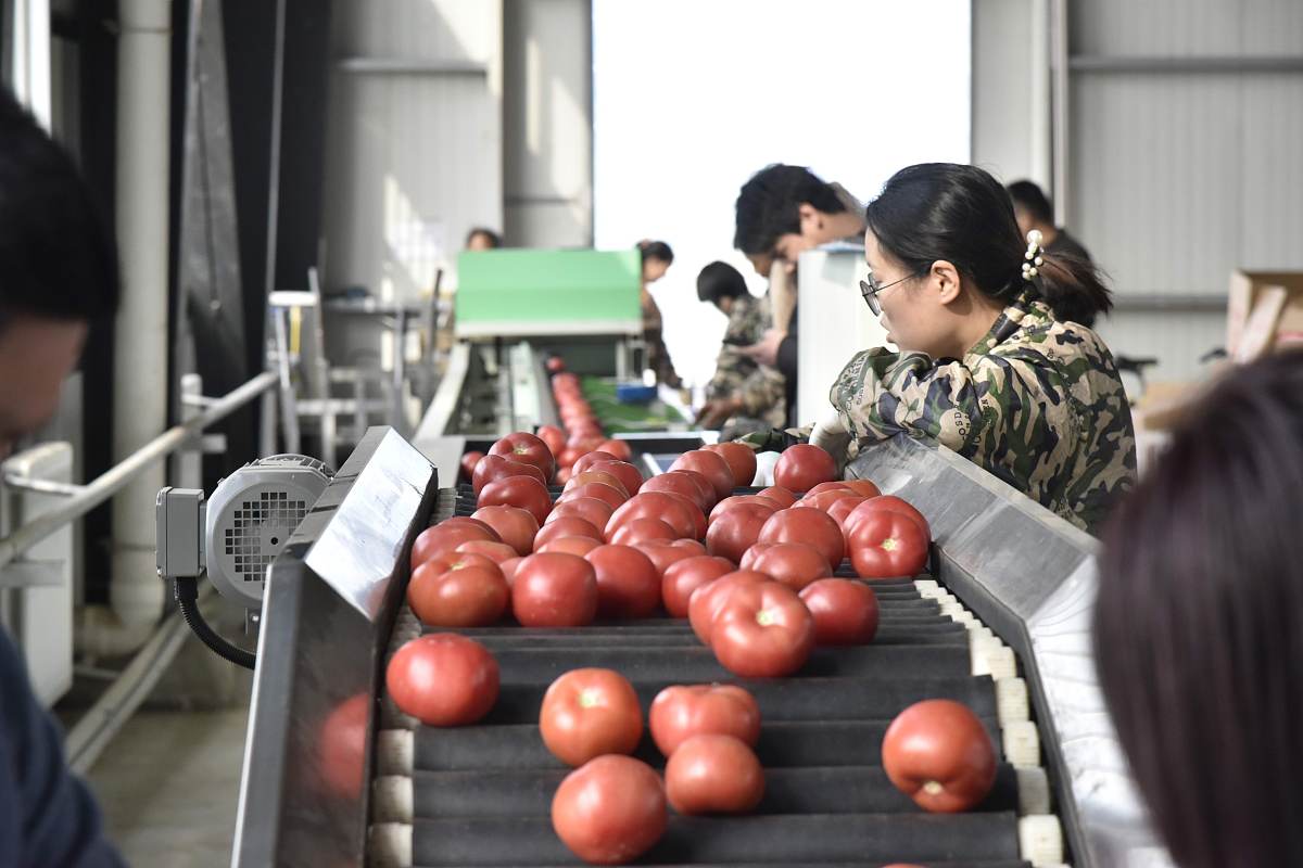 云南省曲靖农业学校农产品保鲜与加工专业怎么样