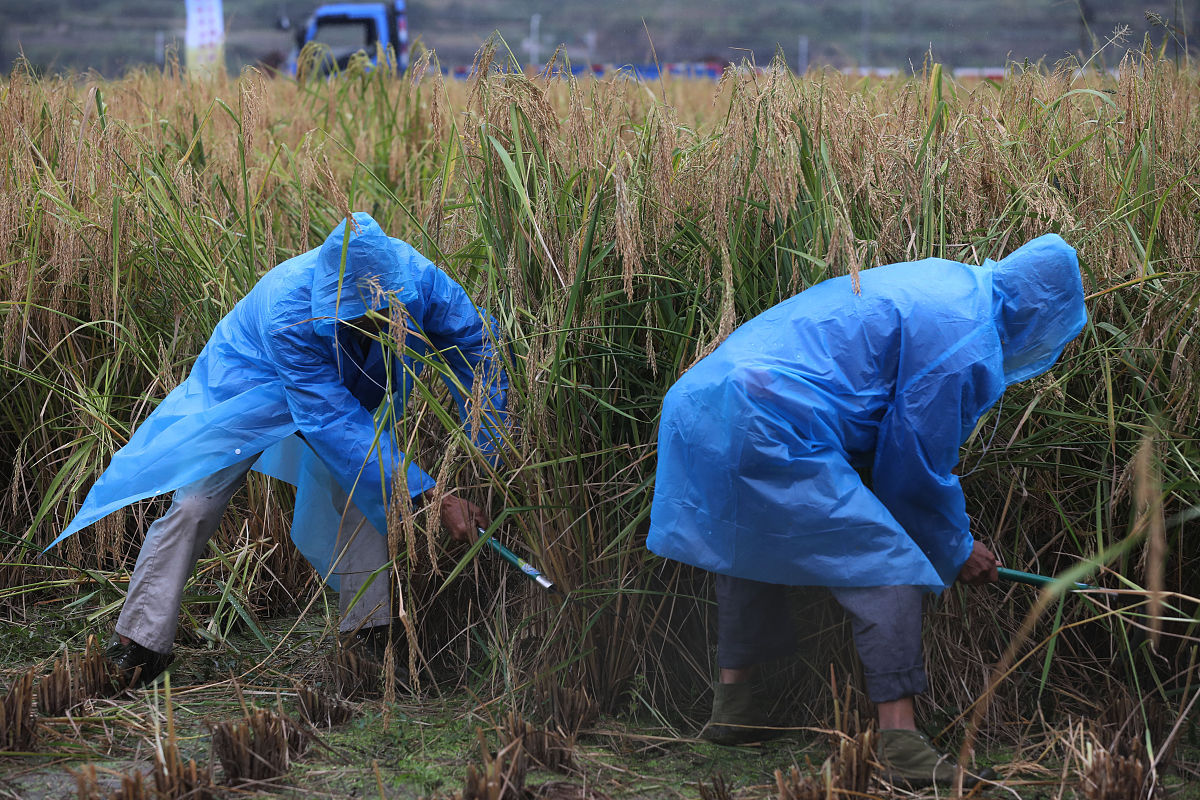 建德先锋职业学校是什么办层次