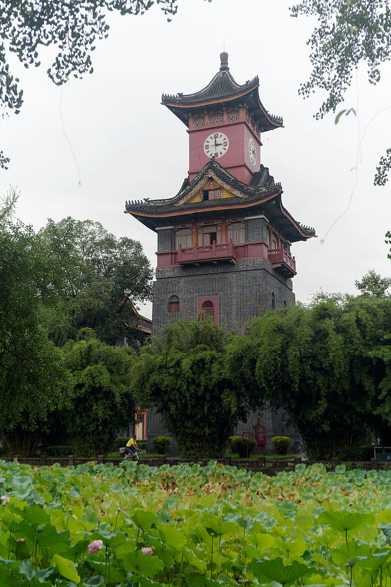 四川开设计算机应用与维护专业的学校有哪些？