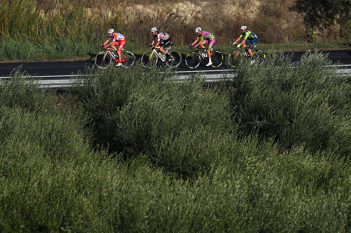 破骨细胞：骨骼重塑和修复的关键角色