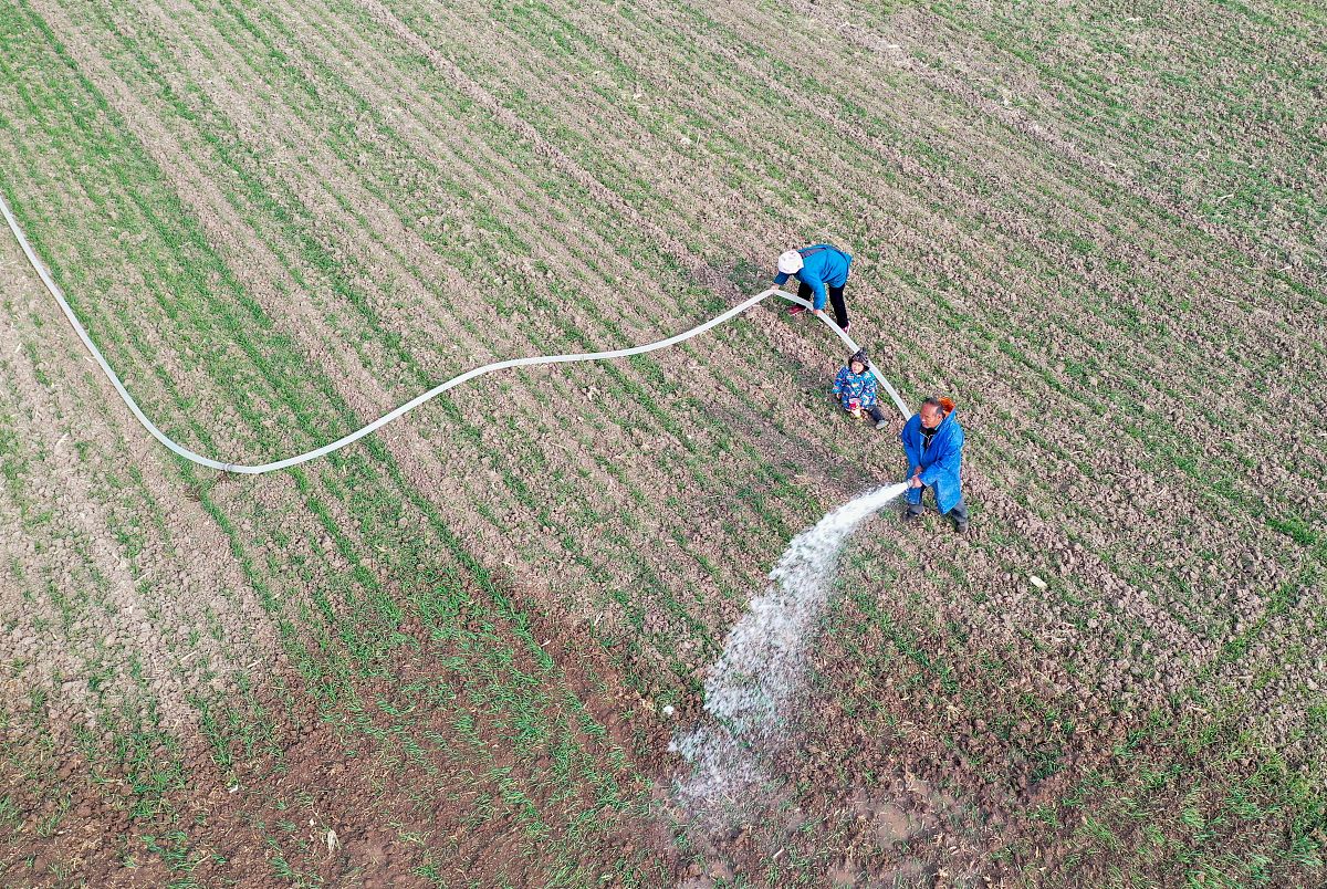 冬小麦节水高产灌溉方案研究：文献分析与理论依据