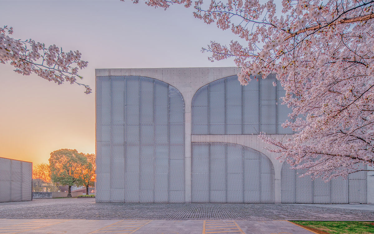 上海工艺美术职业学院单招有高铁乘务专业吗？