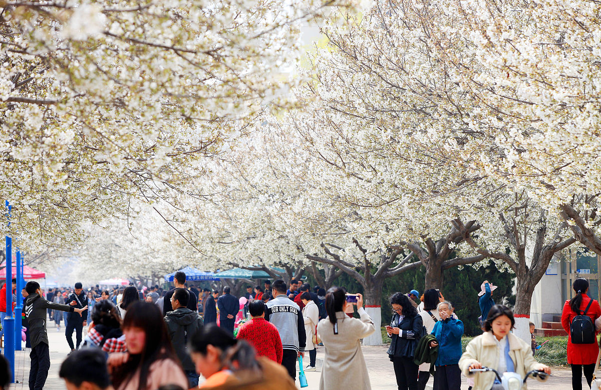 濮阳职业技术学院工程监理专业涉及哪些课程怎么样